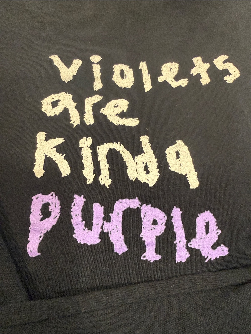 Graphic Long Sleeve Tee "Violets Are Kinda Purple" | XXL | Logo Tee